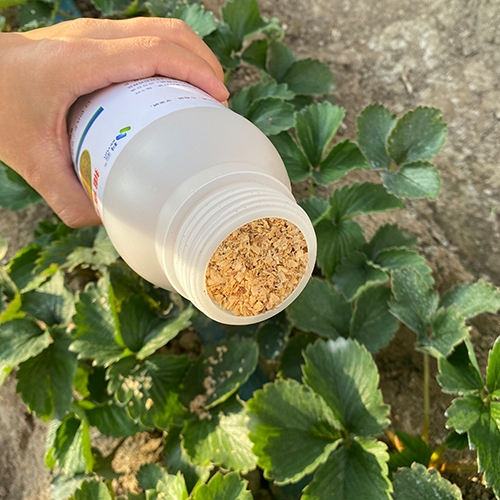 科云&reg;加州新小綏螨